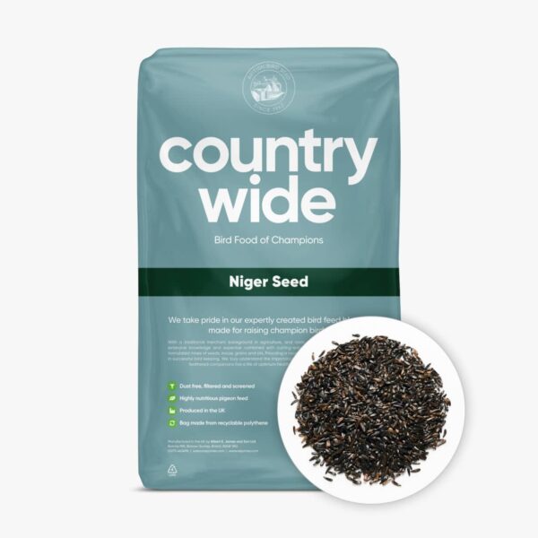 Niger-Seed-–-Straights-�-Countrywide-1234×1234