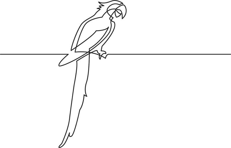 bird-outline