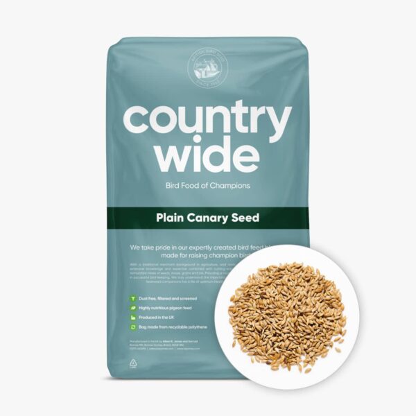 Plain-Canary-Seed-–-Straights-Countrywide-1234×1234